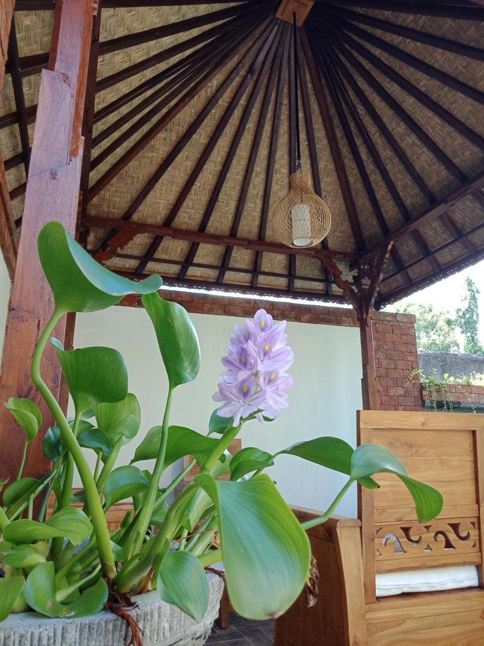 D'Puja Home Stay And Spa Nusa Dua  Eksteriør bilde